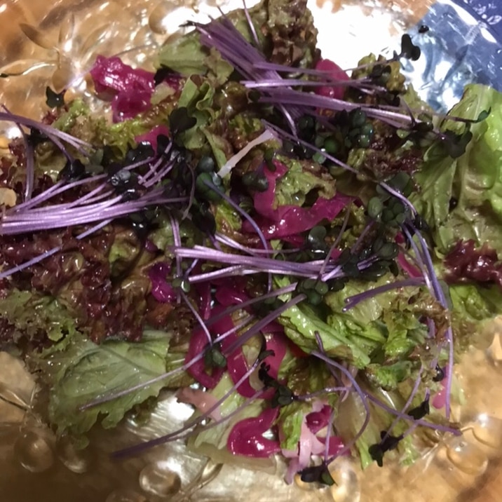 紫キャベツドレッシングのサラダ